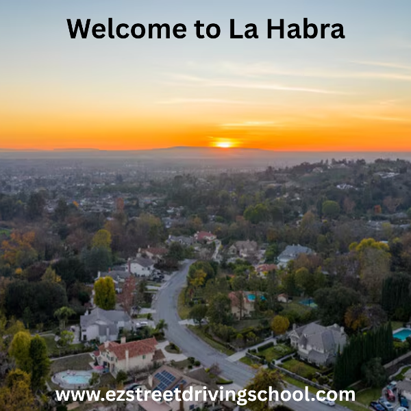 Driving Lessons in La Habra